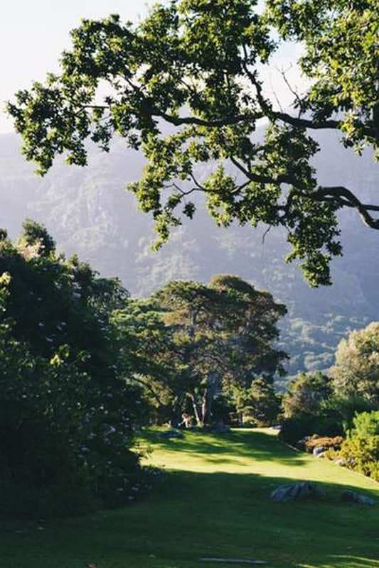 Jardin de Kirstenbosch