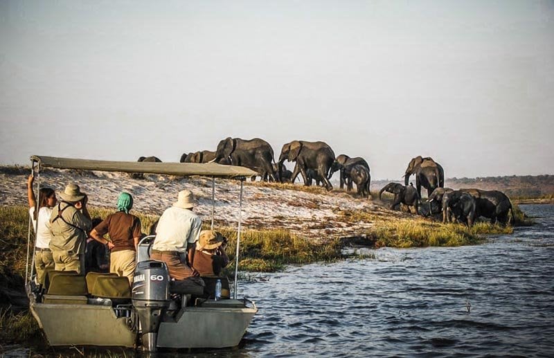 Safari en canoë