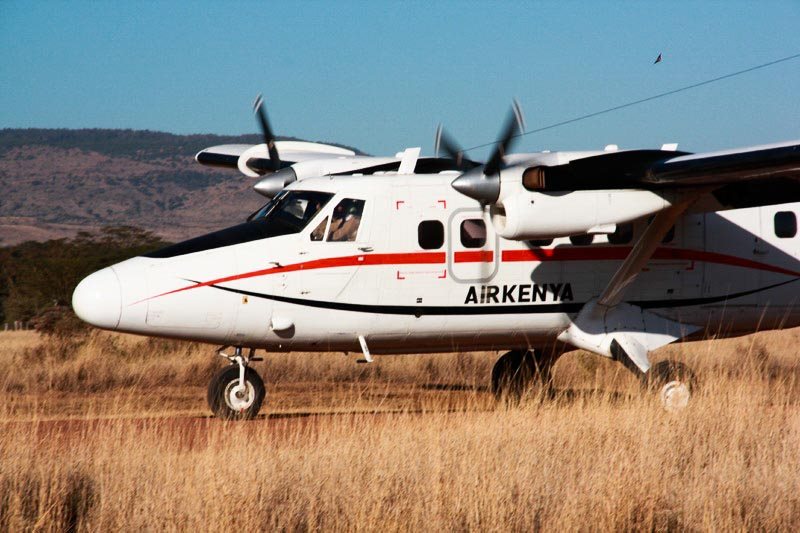 Safari en avion