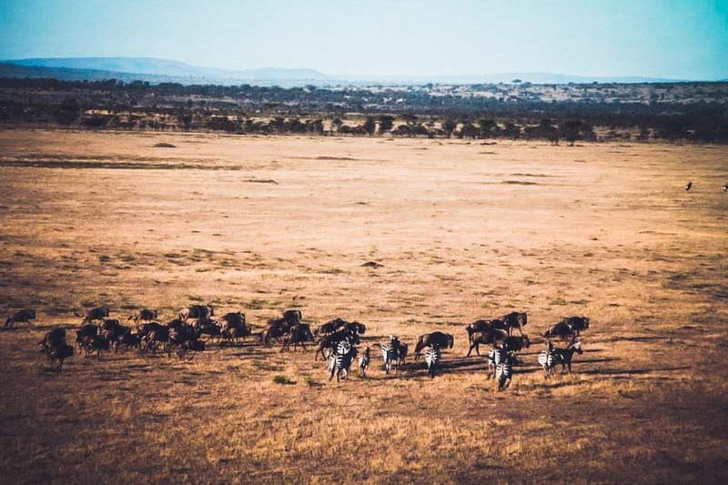 Safari en montgolfière