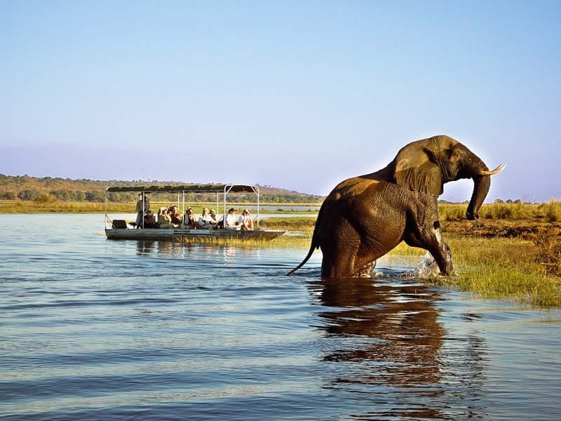 Parc national de Chobé