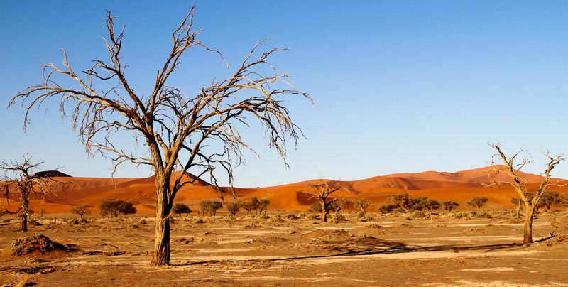 Désert du Kalahari