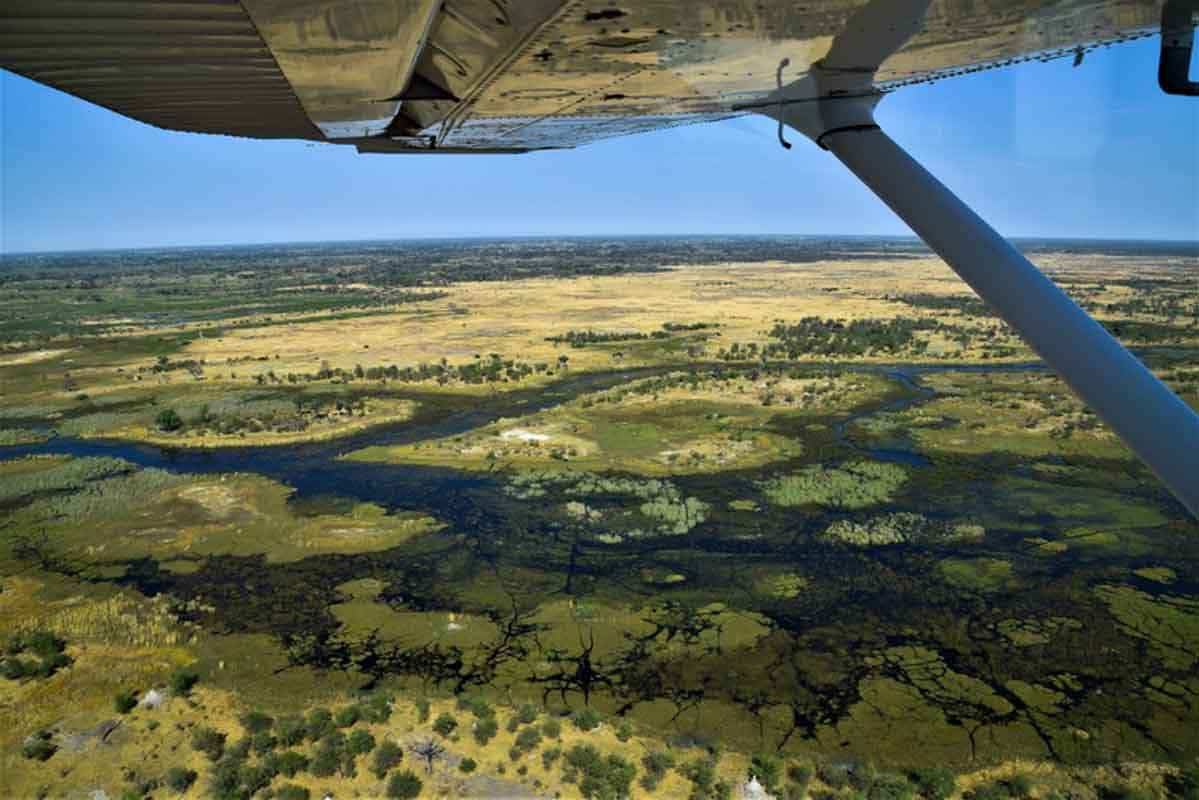 Le Delta de l’Okavango au Botswana