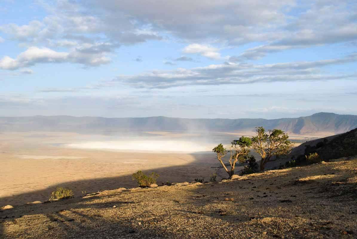 Ngorongoro