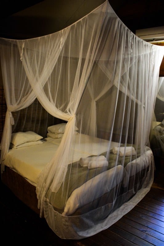 Chambre lodge safari