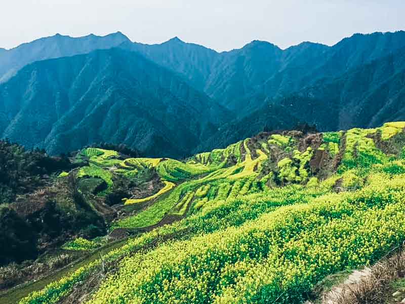 Trek à Baiji